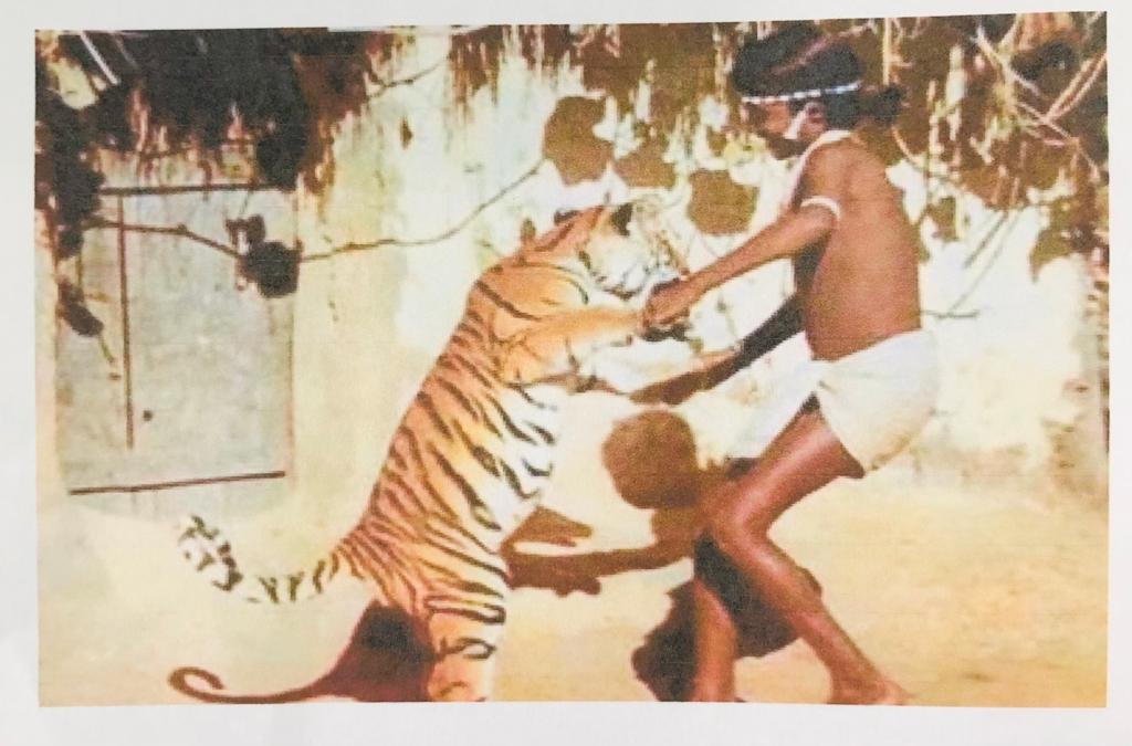 चेन्दरू मंडावी की आदमकद प्रतिमा की होगी स्थापना