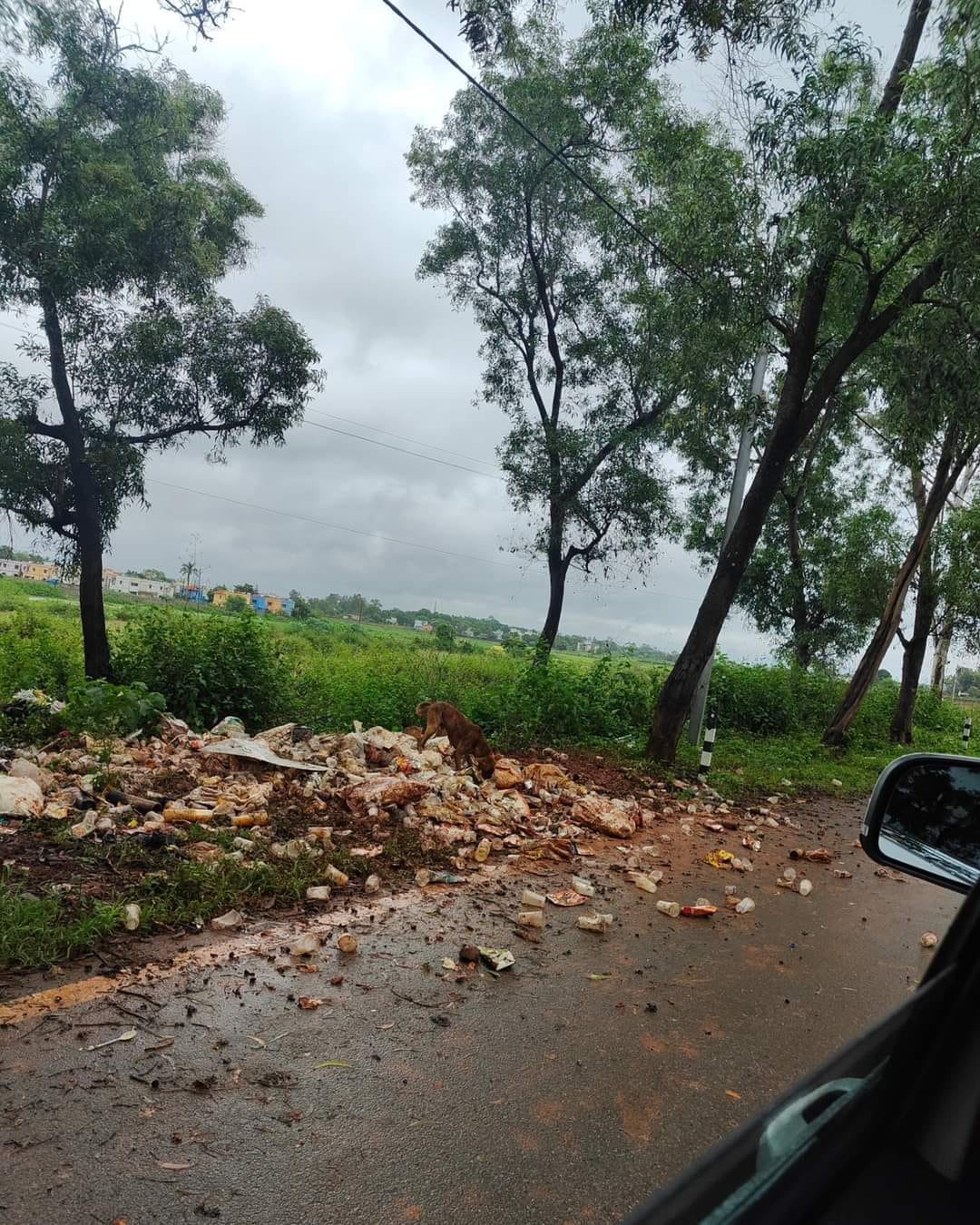 निगम प्रशासन की निष्क्रियता चलते शहर की सफाई व्यवस्था वेंटिलेटर पर : सुशील मौर्य
