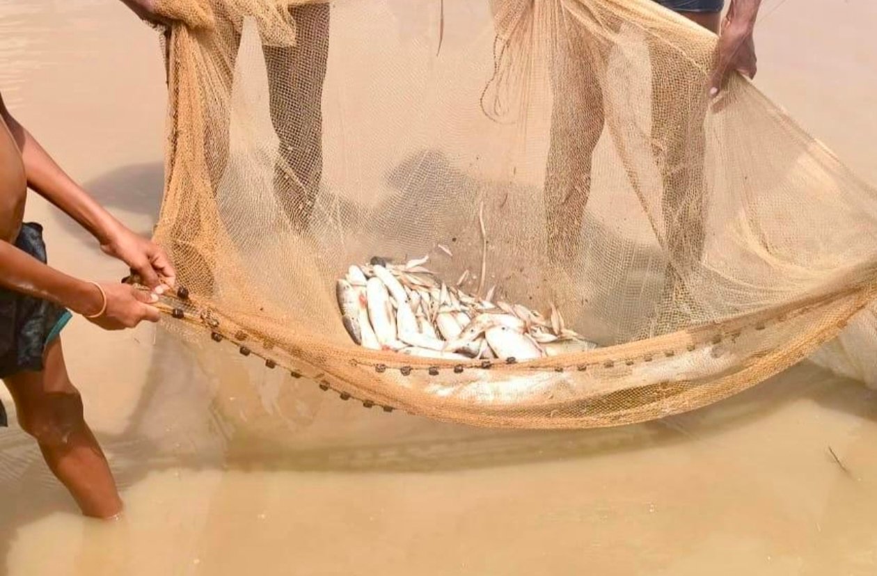 कृषकों के लिए समृद्धि का स्रोत बना मछली पालन