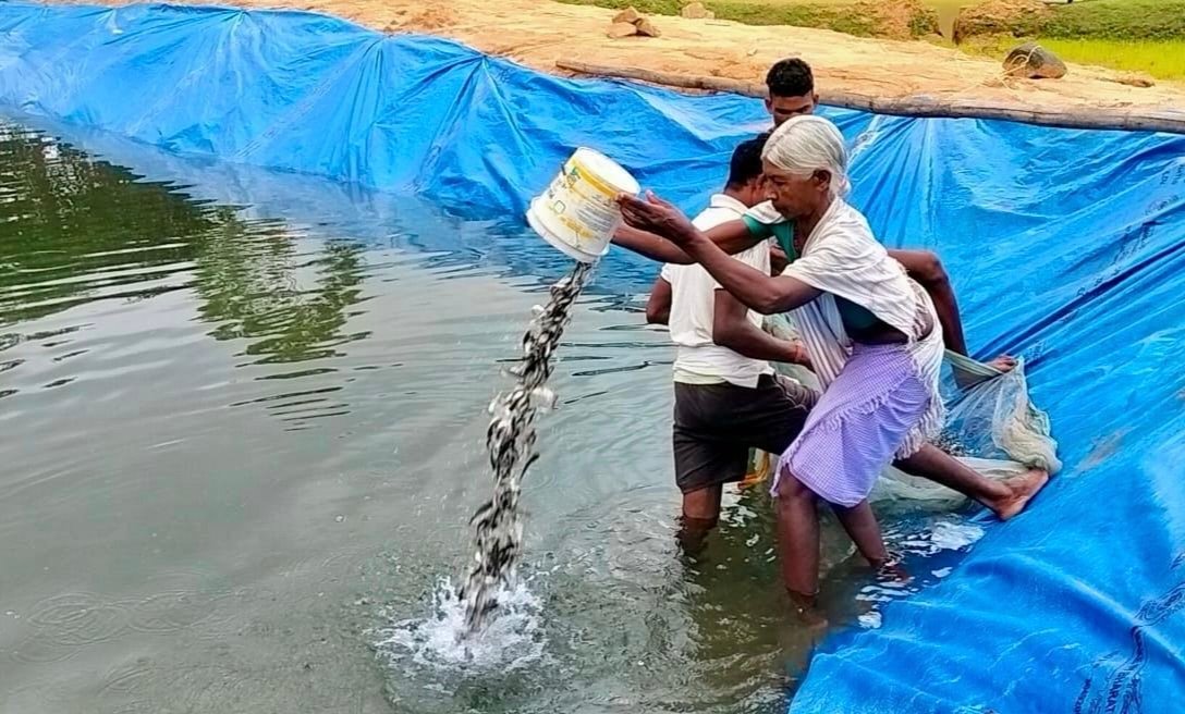 पॉन्ड लाइनर तकनीक से मत्स्य उत्पादन कर सफल मत्स्य पालक बनी बोडो कश्यप