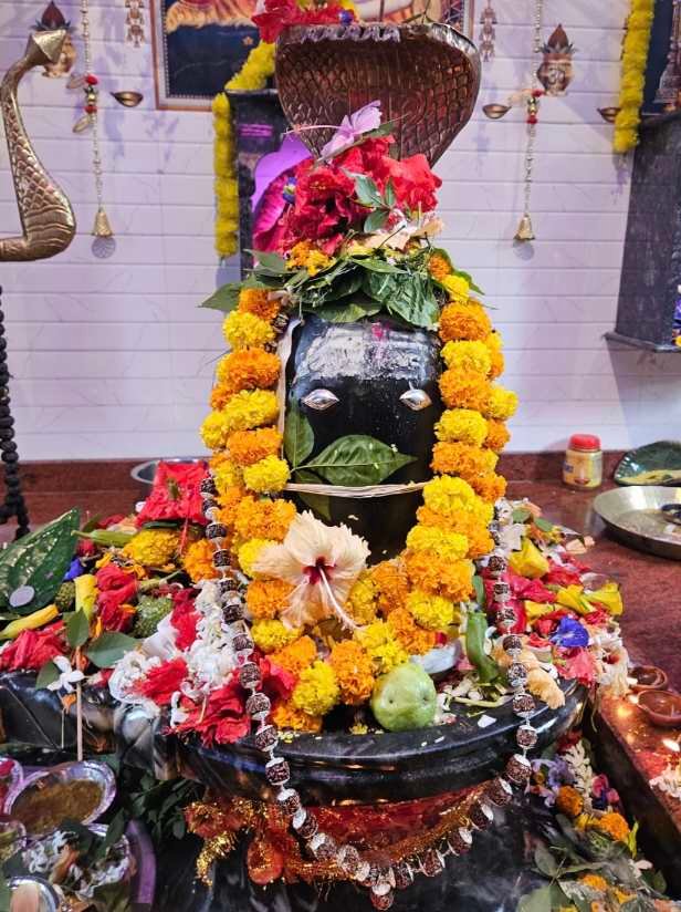 नर्मदेश्वर शिवालय में हुआ रुद्राभिषेक, भंडारे में उमड़ी श्रद्धालुओं की भीड़
